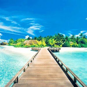 Meet your Posher, OceanPalm